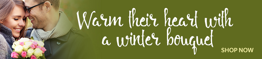 920x208_Holiday2021_4